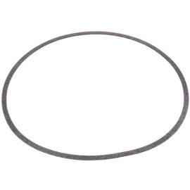 Armstrong Pumps 106158-000 - Body Gasket