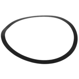 Armstrong Pumps 106592-000 - Body Gasket for S69-BF1 Pump