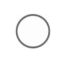 Armstrong Pumps 406604-000 - Gasket-casing