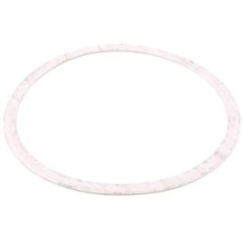 Armstrong Pumps 426401-002 - Gasket Nitrile 6"