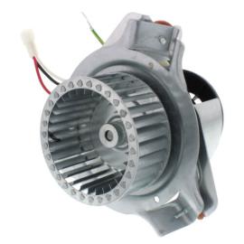 Packard 66763 - 2-Speed Shaded Pole Replacement Draft Inducer for Carrier (3000 RPM, 115 V, 0.39/1.32 Amps)